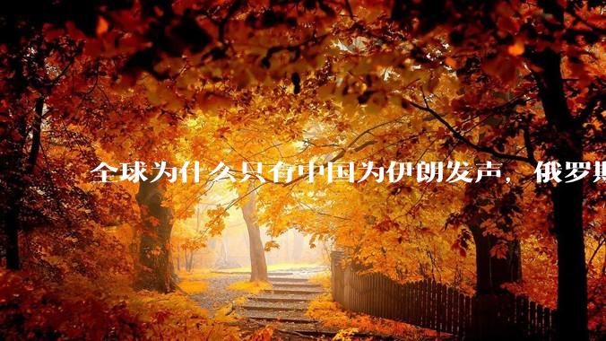 全球为什么只有中国为伊朗发声，俄罗斯都不吱声?