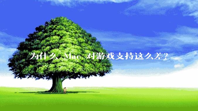 为什么 Mac 对游戏支持这么差？